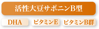 活性大豆サポニンB型 DHA ビタミンE ビタミンB群