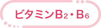 ビタミンB2・ビタミンB6