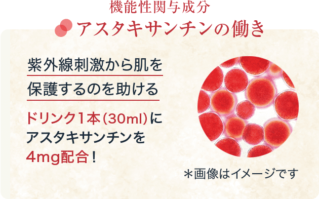 機能性関与成分 アスタキサンチンの働き 紫外線刺激から肌を保護するのを助ける ドリンク1本（30ml）に アスタキサンチンを4mg配合！ ＊画像はイメージです