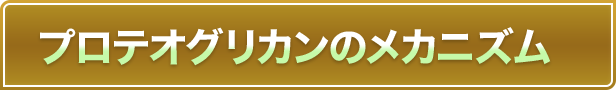 プロテオグリカンのメカニズム