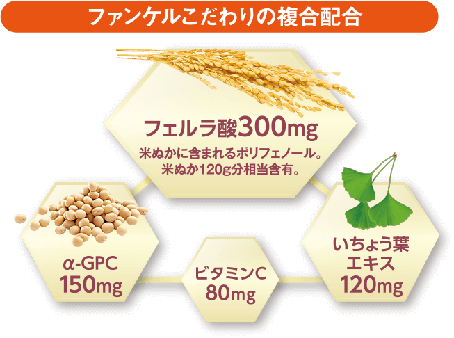 ファンケルこだわりの複合配合 フェルラ酸300mg 米ぬかに含まれるポリフェノール。米ぬか120g分相当含有。 α-GPC 150mg ビタミンC 80mg いちょう葉 エキス 120mg