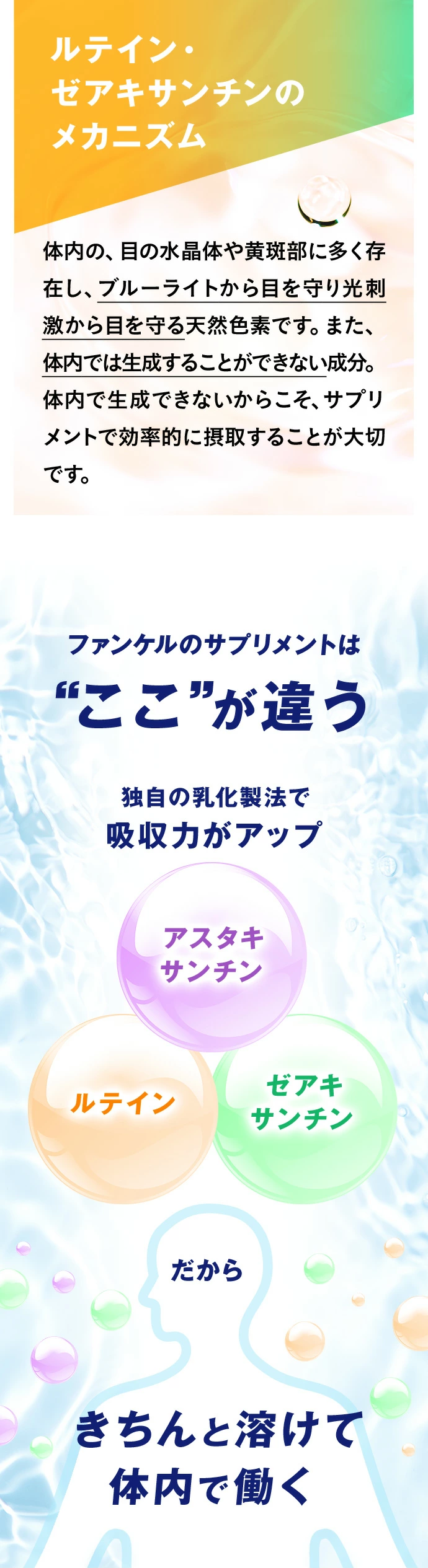 ルテイン・ゼアキサンチンのメカニズム ファンケルのサプリメントは「ここ」が違う 独自の乳化製法で吸収力がアップ