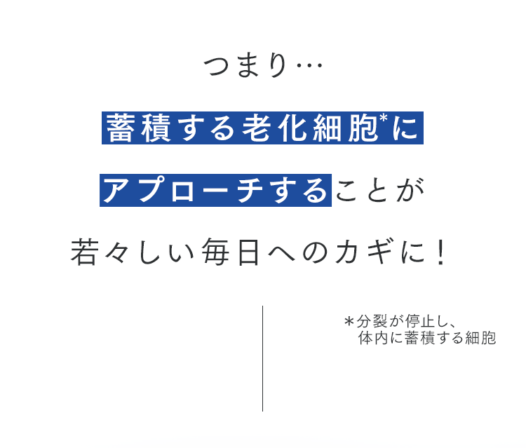 つまり…蓄積する老化細胞にアプローチすることが若々しい毎日へのカギに！