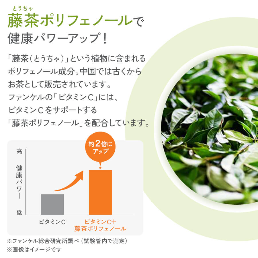 藤茶ポリフェノールで健康パワーアップ!