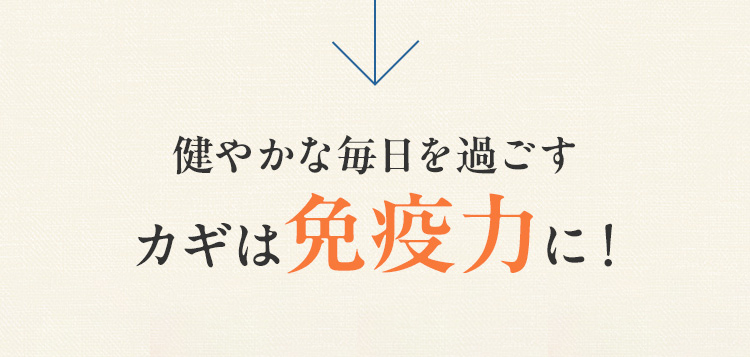 健やかな毎日を過ごすカギは免疫力に!