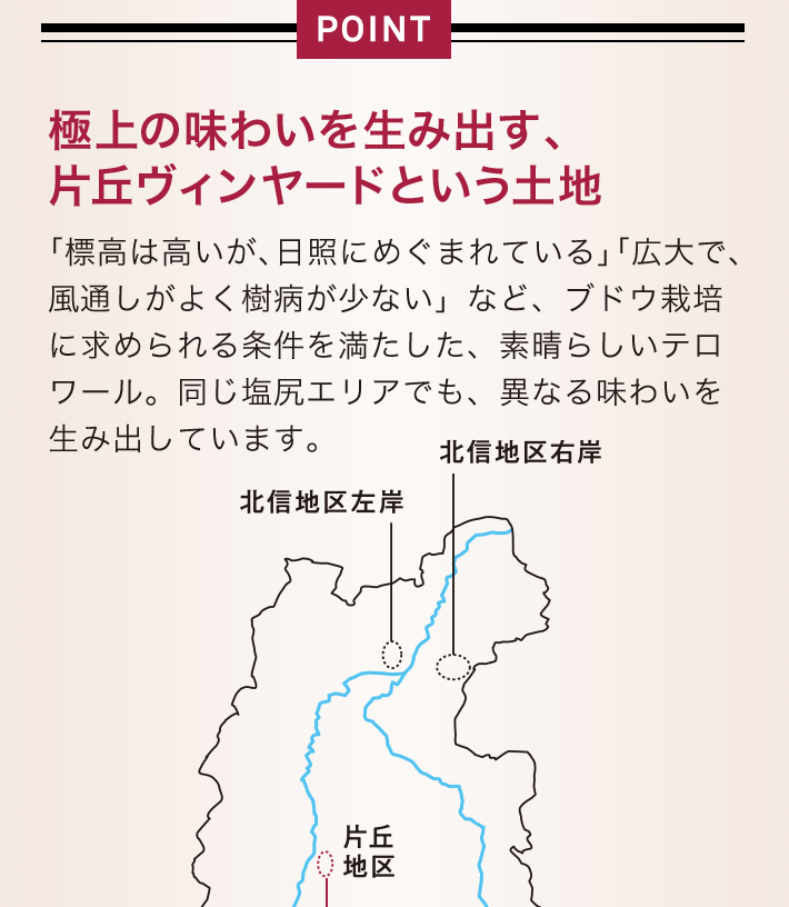 POINT 極上の味わいを生み出す、片丘ヴィンヤードという土地 「標高は高いが、日照にめぐまれている」「広大で、風通しがよく樹病が少ない」など、ブドウ栽培に求められる条件を満たした、素晴らしいテロワール。同じ塩尻エリアでも、異なる味わいを生み出しています。