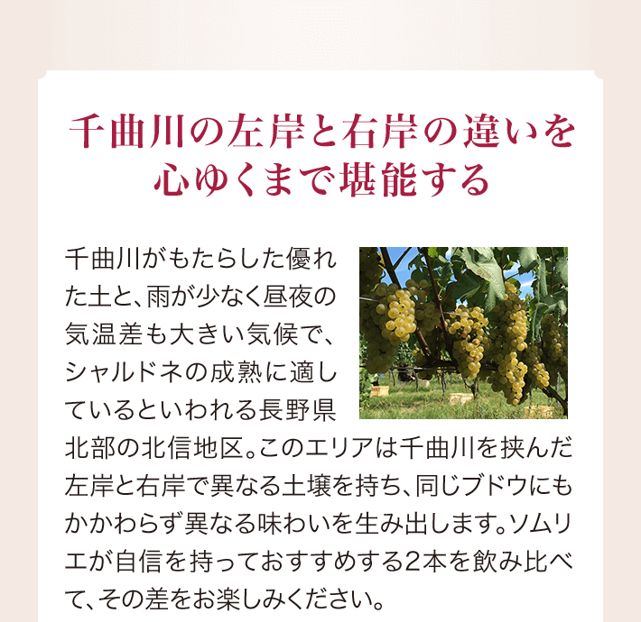 千曲川の左岸と右岸の違いを心ゆくまで堪能する 千曲川がもたらした優れた土と、雨が少なく昼夜の気温差も大きい気候で、シャルドネの成熟に適しているといわれる長野県北部の北信地区。このエリアは千曲川を挟んだ左岸と右岸で異なる土壌を持ち、同じブドウにもかかわらず異なる味わいを生み出します。ソムリエが自信を持っておすすめする2本を飲み比べて、その差をお楽しみください。