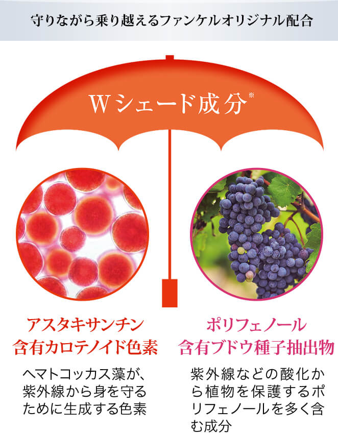守りながら乗り越えるファンケルオリジナル配合 Wシェード成分※ アスタキサンチン含有カロテノイド色素 ヘマトコッカス藻が、紫外線から身を守るために生成する色素 ポリフェノール含有ブドウ種子抽出物 紫外線などの酸化から植物を保護するポリフェノールを多く含む成分