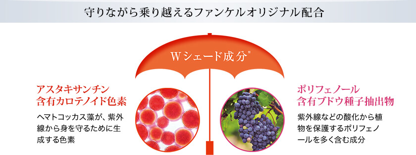 守りながら乗り越えるファンケルオリジナル配合 Wシェード成分※ アスタキサンチン含有カロテノイド色素 ヘマトコッカス藻が、紫外線から身を守るために生成する色素 ポリフェノール含有ブドウ種子抽出物 紫外線などの酸化から植物を保護するポリフェノールを多く含む成分