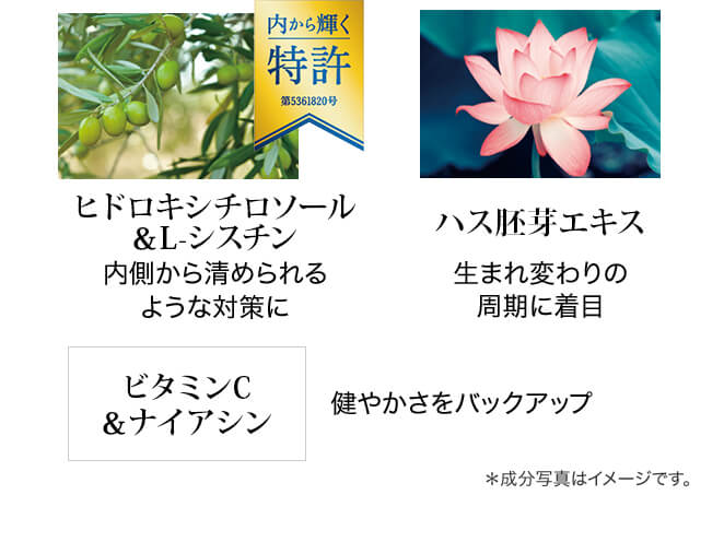 ヒドロキシチロソール＆L-シスチン、ハス胚芽エキス、ビタミンC＆ナイアシン ＊成分写真はイメージです。