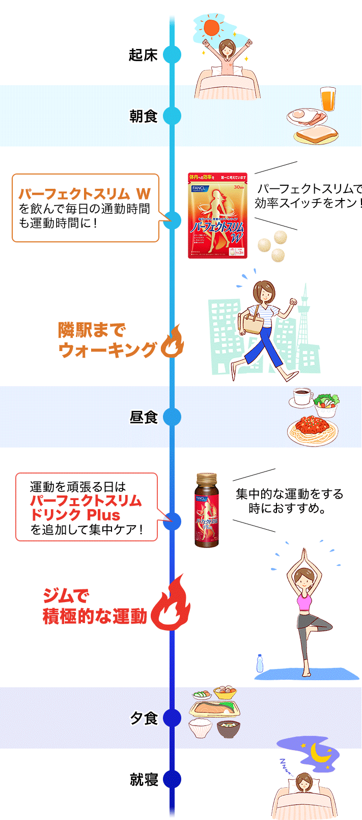 起床 朝食 パーフェクトスリム Wを飲んで毎日の通勤時間も運動時間に！パーフェクトスリムで効率スイッチをオン！ 隣駅までウォーキング 昼食 運動を頑張る日はパーフェクトスリム ドリンク Plusを追加して集中ケア！集中的な運動をする時におすすめ。 ジムで積極的な運動 夕食 就寝