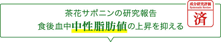 茶花サポニンの研究報告 食後血中中性脂肪値の上昇を抑える