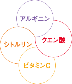 アルギニン シトルリン クエン酸 ビタミンC