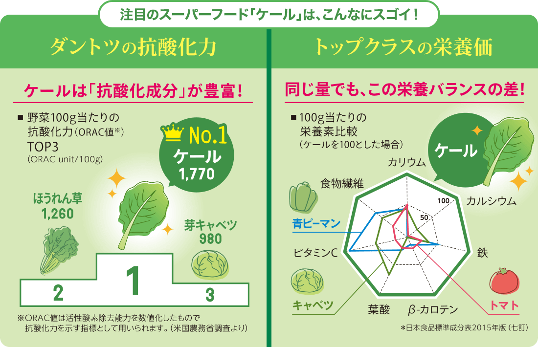 注目のスーパーフード「ケール」は、こんなにスゴイ！ ダントツの抗酸化力 トップクラスの栄養価