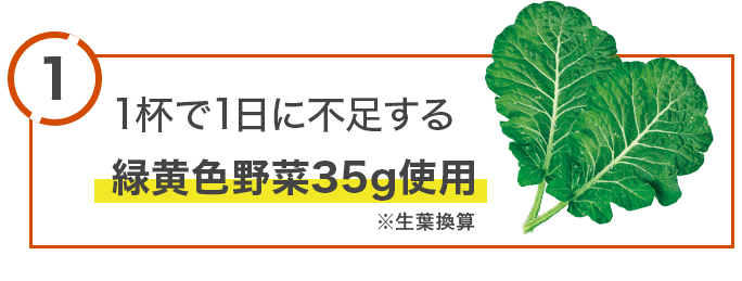 1.1杯で1日に不足する緑黄色野菜35g使用　※生葉換算