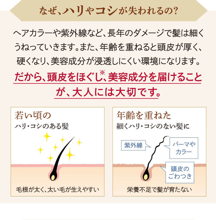 なぜハリやコシが失われるの？