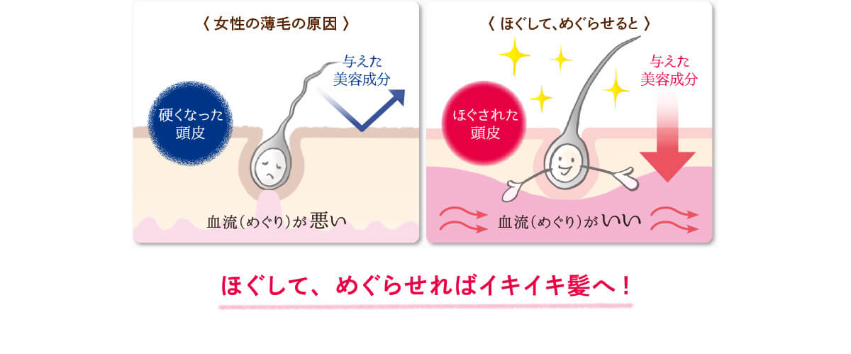 ほぐして、めぐらせればイキイキ髪へ！