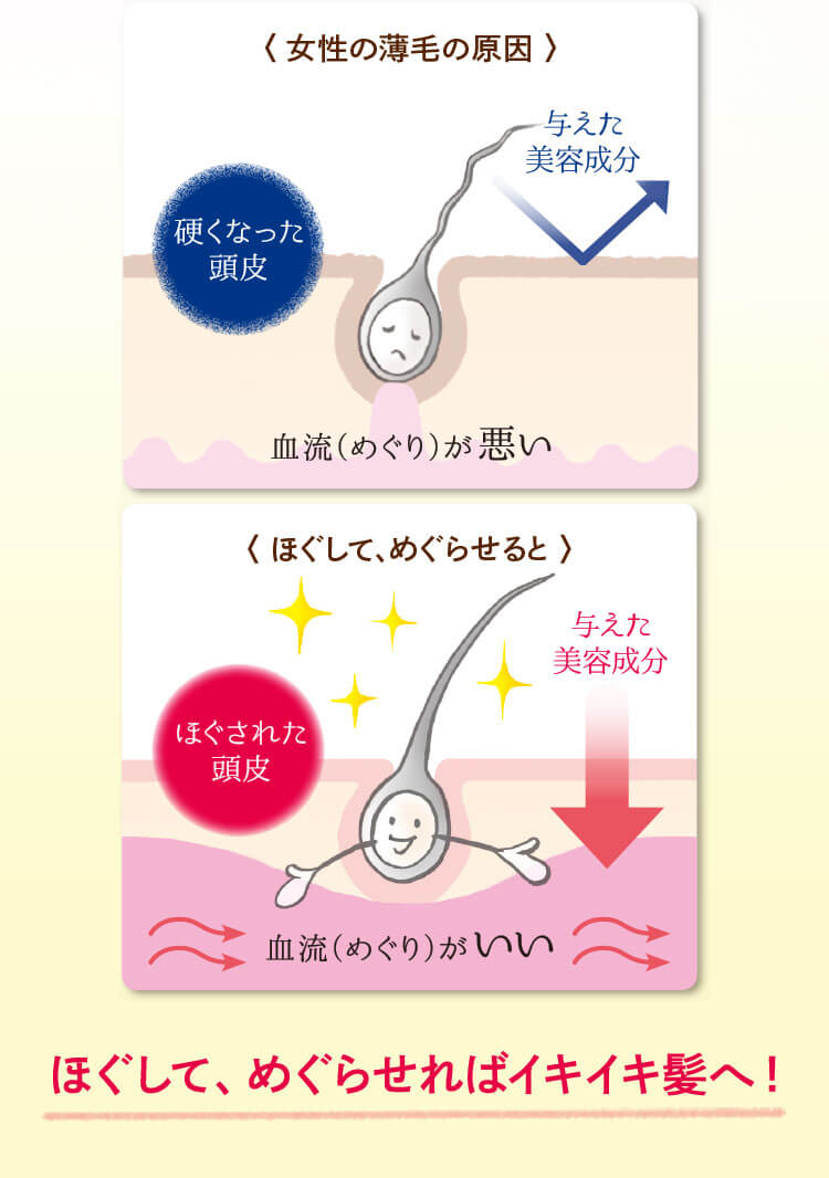 ほぐして、めぐらせればイキイキ髪へ！