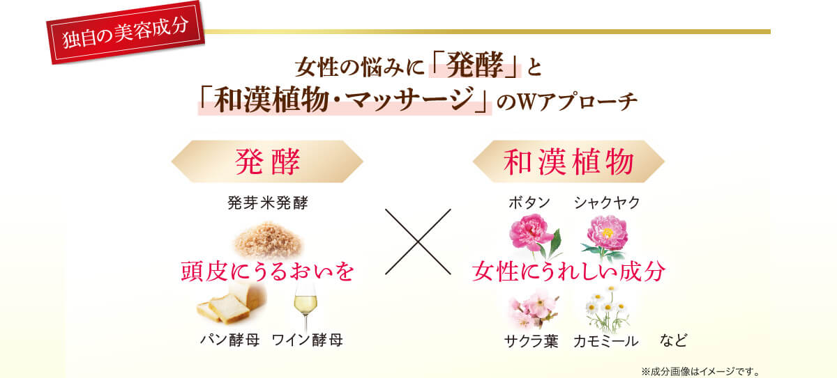 女性の悩みに「発酵」と「和漢植物・マッサージ」のWアプローチ