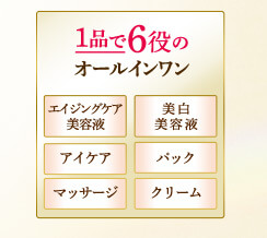 1品で6役のオールインワン