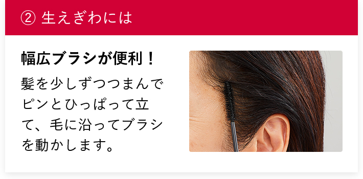 ②生えぎわには 幅広ブラシが便利! 髪を少しずつつまんでピンとひっぱって立て、毛に沿ってブラシを動かします。