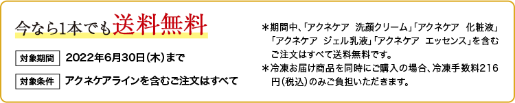 今なら1本でも送料無料 対象期間 2022年6月30日(木)まで 対象条件 アクネケアラインを含むご注文はすべて *期間中、「アクネケア 洗顔クリーム」「アクネケア 化粧液」「アクネケア ジェル乳液」「アクネケア エッセンス」を含むご注文はすべて送料無料です。 *冷凍お届け商品を同時にご購入の場合、冷凍手数料216円(税込)のみご負担いただきます。