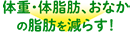 内脂サポート