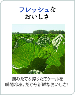 フレッシュなおいしさ 摘みたて＆搾りたてケールを瞬間冷凍。だから新鮮なおいしさ！