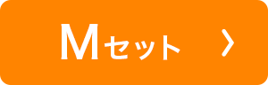 ナチュラルフィットブラ　スイミー Mセット