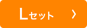 ナチュラルフィットブラ　スイミー Lセット