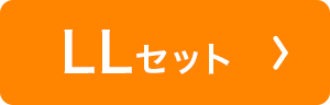 ナチュラルフィットブラ　スイミー LLセット