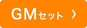 ナチュラルフィットブラ　スイミー GMセット