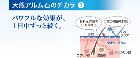 天然アルム石のチカラ❶ パワフルな効果が、１日中ずっと続く。 収れん作用で汗を抑える 菌の増殖を抑制