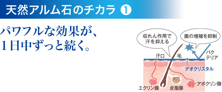 天然アルム石のチカラ❶ パワフルな効果が、１日中ずっと続く。 収れん作用で汗を抑える 菌の増殖を抑制