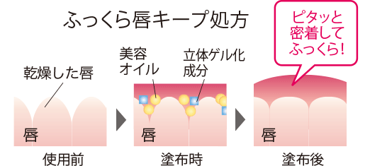 ふっくら唇キープ処方 ピタッと密着してふっくら！