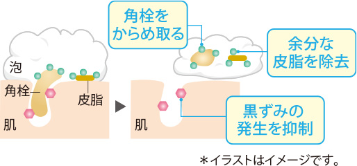 角栓をからめ取る 余分な皮脂を除去 黒ずみの発生を抑制