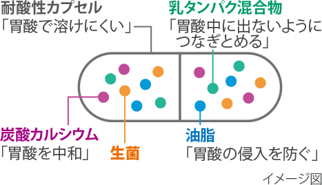 イメージ図