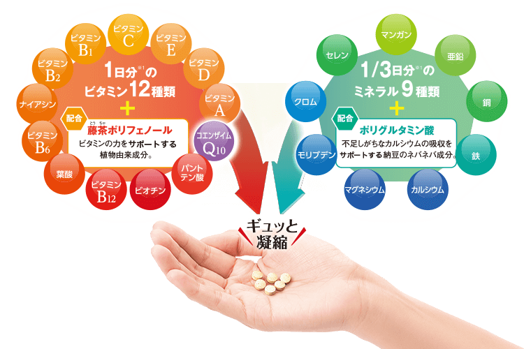 1日分※1のビタミン12種類(ビタミンC,ビタミンE,ビタミンD,ビタミンA,コエンザイムQ10,パントテン酸,ビオチン,ビタミンB12,葉酸,ビタミンB6,ナイアシン,ビタミンB2,ビタミンB1)+藤茶ポリフェノール配合 ビタミンの力をサポートする植物由来成分。 1/3日分※1のミネラル9種類(マンガン,亜鉛,銅,鉄,カルシウム,マグネシウム,モリブデン,クロム,セレン)+ポリグルタミン酸配合 不足しがちなカルシウムの吸収をサポートする納豆のネバネバ成分。