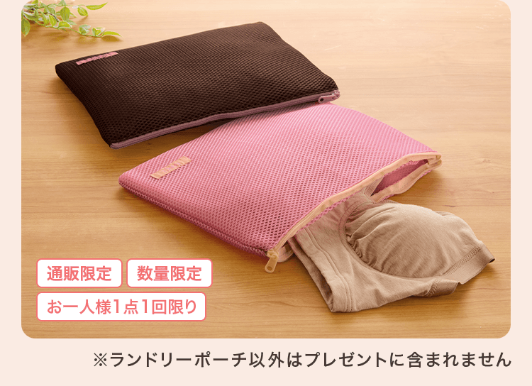 ＜通販限定＞＜数量限定＞＜お一人様1点1回限り＞※ランドリーポーチ以外はプレゼントに含まれません