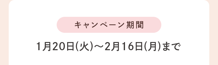 キャンペーン期間：1月20日(火)～2月16日(月)まで