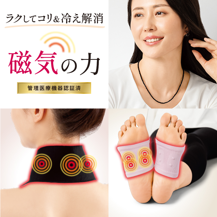 【おすすめ】磁気の力