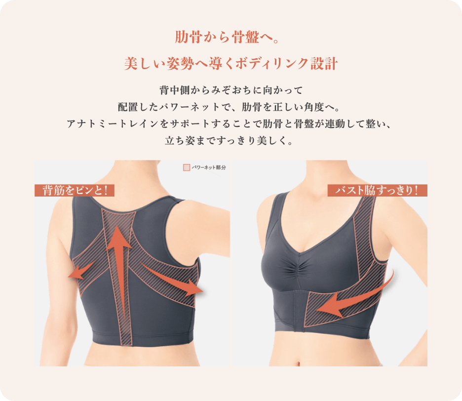 肋骨から骨盤へ。美しい姿勢へ導くボディリンク設計 背中側からみぞおちに向かって配置したパワーネットで、肋骨を正しい角度へ。アナトミートレインをサポートすることで肋骨と骨盤が連動して整い、立ち姿まですっきり美しく。