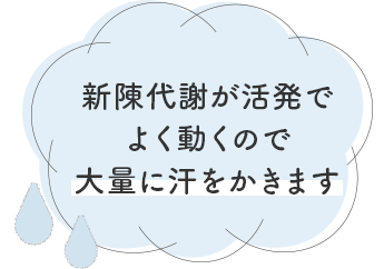 新陳代謝が活発でよく動くので大量に汗をかきます