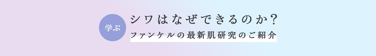 シワはなぜできるのか？ファンケルの最新肌研究のご紹介