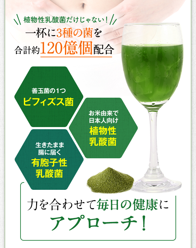 ファンケル 野菜と乳酸菌とビフィズス菌がとれる青汁 7,000円 60本入 FANCL ケール ビフィズス菌 乳酸菌 国産 無添加 野菜不足 大人気の  60本入