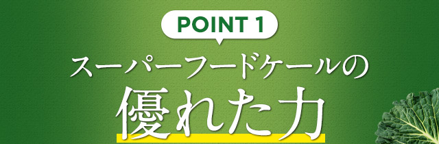 POINT 1 スーパーフードケールの優れた力