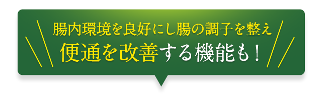 腸内環境を良好にし腸の調子を整え便通を改善する機能も！