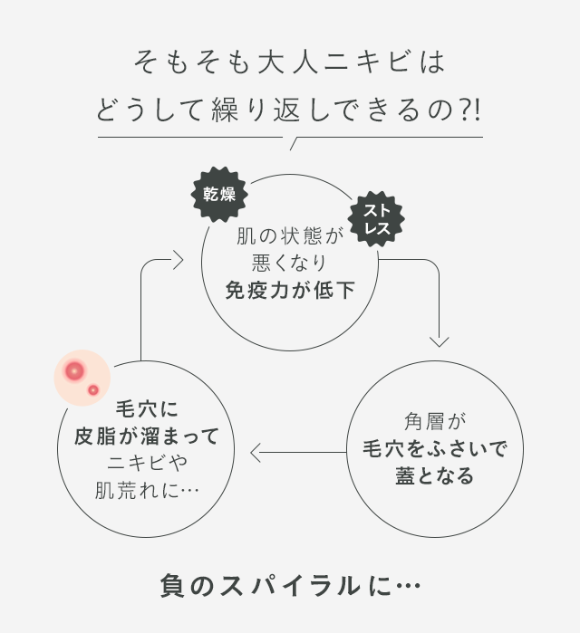 そもそも大人ニキビはどうして繰り返しできるの⁈ 肌の状態が悪くなり免疫力が低下-肌の再生周期が乱れる-角層が毛穴をふさいで蓋となる-毛穴に皮脂が溜まってニキビや肌荒れに… 負のスパイラルに…