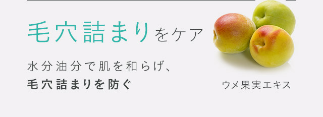 毛穴詰まりをケア 水分油分で肌を和らげ、 毛穴詰まりを防ぐウメ果実エキス