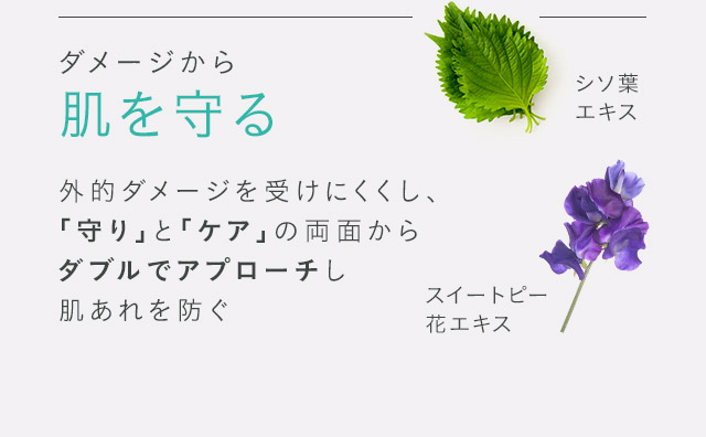 ダメージから肌を守る 外的ダメージを受けにくくし、「守り」と「ケア」の両面からダブルでアプローチし肌あれを防ぐシソ葉エキス-スイートピー花エキス